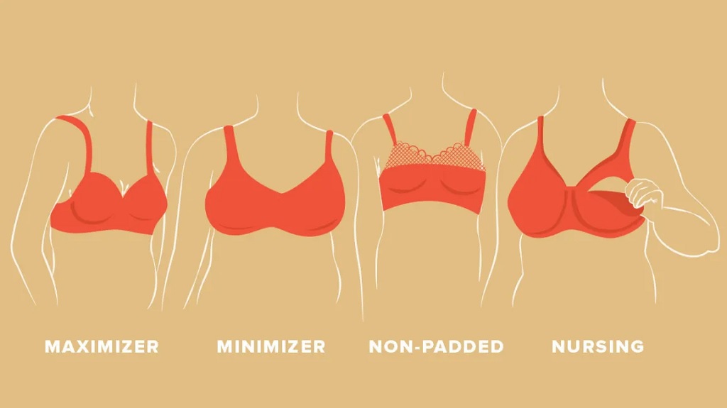 How To Pick The Best Support Bra For Your Personal Needs